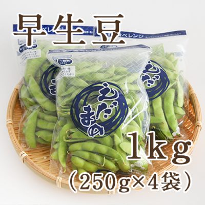 早生豆1kg(250g×4袋)