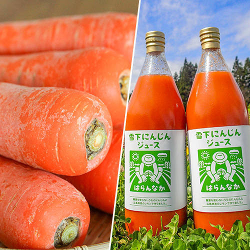 新潟直送計画】魚沼産 無農薬栽培 熟成にんじん（土付き）＆雪下