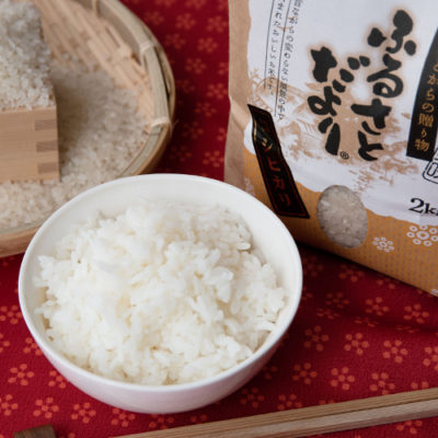令和4年度米 新潟産コシヒカリ（特別栽培米・従来品種）