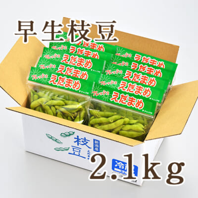 早生枝豆 2.1kg