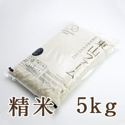 糸魚川 早川産 コシヒカリ 精米5kg