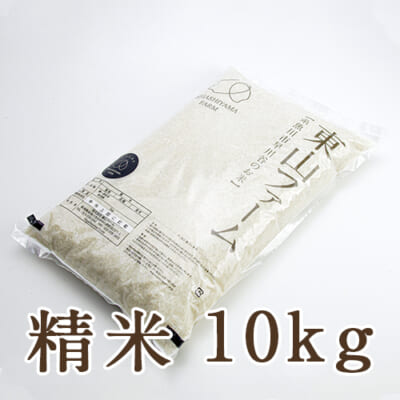 糸魚川 早川産 コシヒカリ 精米10kg