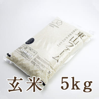 糸魚川 早川産 コシヒカリ 玄米5kg