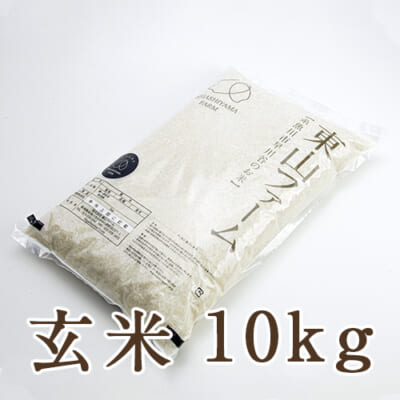 糸魚川 早川産 コシヒカリ 玄米10kg