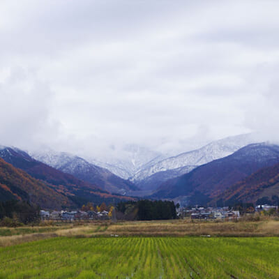 甘くてもっちりのお米を育む越後山脈