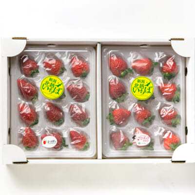 新潟県産いちご L～2Lサイズ 選べる2パック