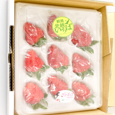 新潟県産いちご 3Lサイズ 選べる1パック