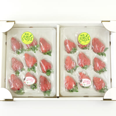 新潟県産いちご 3Lサイズ 選べる2パック