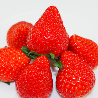 甘み・香り・食感の違いを食べ比べ