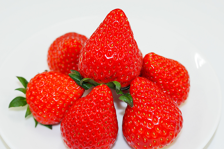 3品種の個性を楽しめる、新潟県産いちご