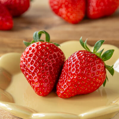 見た目の美しさにもうっとり