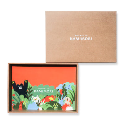 遊べる紙サンプル「KAMIMORI」1箱