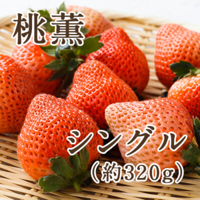 桃薫 シングル1箱（約320g）※化粧箱入り