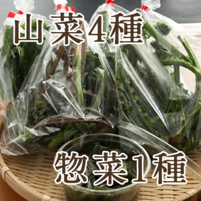手摘み山菜4袋+山菜惣菜1種 詰め合わせ