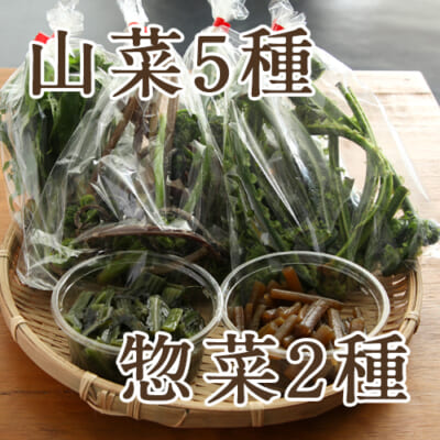 手摘み山菜5袋+山菜惣菜2種 詰め合わせ