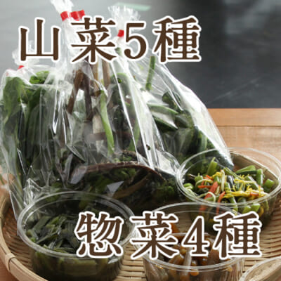 手摘み山菜5袋+山菜惣菜4種 詰め合わせ
