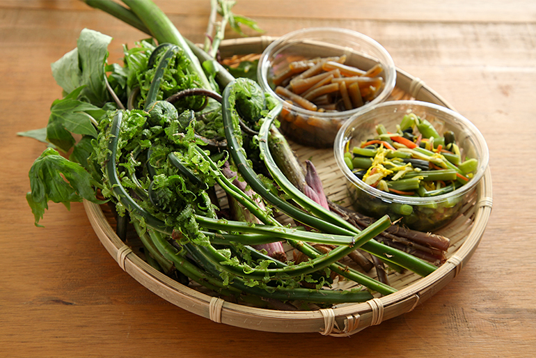 新鮮山菜とお惣菜で、里山の春の恵みを堪能