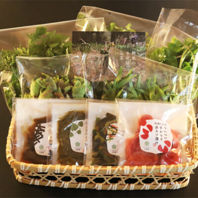 新鮮手摘み山菜&惣菜セットをお届け！