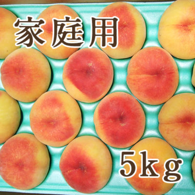 【家庭用】黄桃 5kg