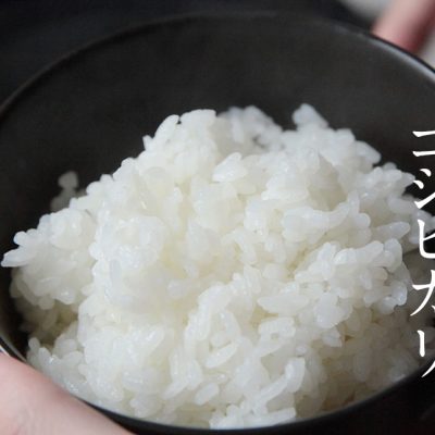 令和4年度米 新潟産コシヒカリ（特別栽培米・従来品種）