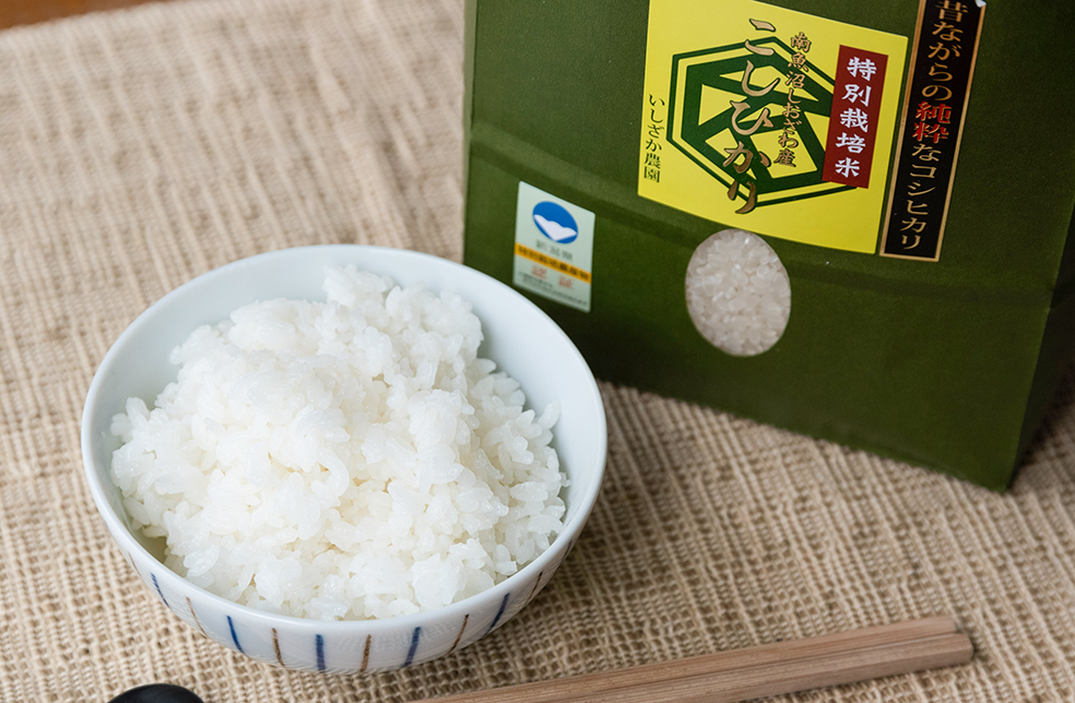 令和６年産新米南魚沼産コシヒカリ（旧塩沢産）従来品種五キロ　希少米 令和6年産新米南魚沼産コシヒカリ（旧塩沢産）従来品種五キロ 希少