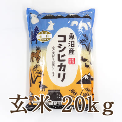 【定期購入】中魚沼産コシヒカリ 金印 玄米20kg