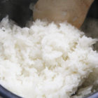 令和7年度米 新潟産コシヒカリ