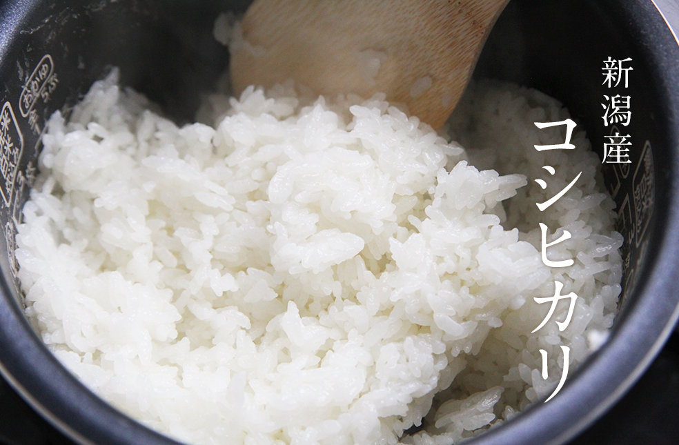ja-sasakami_001_01.jpg