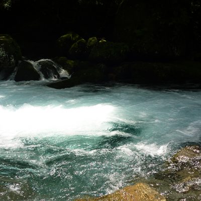 越後の名水「大出口泉水」で練り上げる