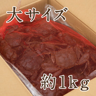 【ネット入】天然活きモクズガニ 大サイズ 規格外 約1kg