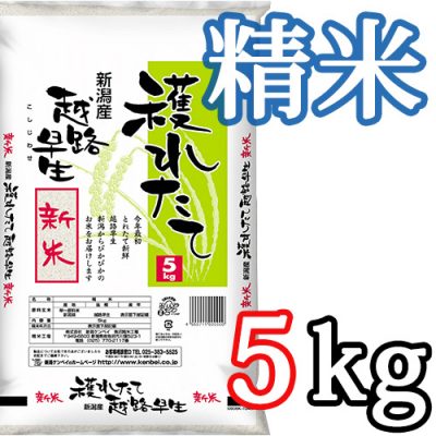 新潟県産越路早生 精米5kg