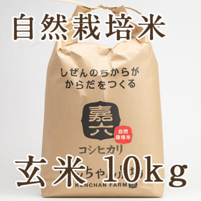 自然栽培米コシヒカリ 玄米10kg