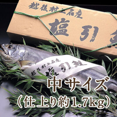 村上名産 塩引き鮭まるごと1本 中サイズ（仕上り約1.7kg）