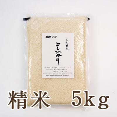 【定期購入】新潟産コシヒカリ（従来品種）精米5kg