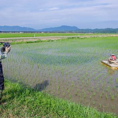 農作業用のボートを駆使して除草します