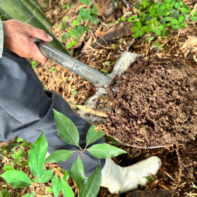 竹林の腐葉土を活かして、活性水を作ります