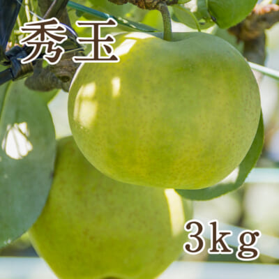 秀玉 3kg