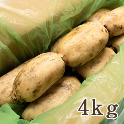 長岡産レンコン 4kg