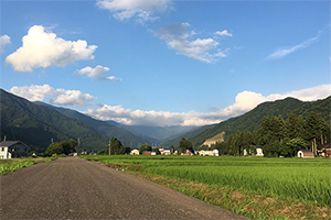 1. 低い平均気温