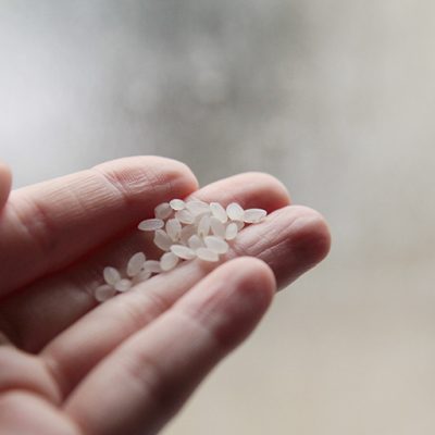 令和5年度米 新潟産 JAS認証有機栽培米コシヒカリ