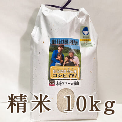 【定期購入】新潟産 従来品種コシヒカリ（特別栽培）精米10kg