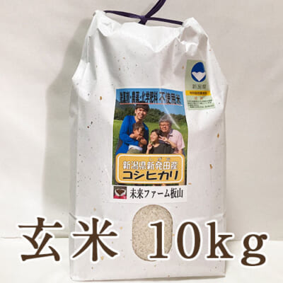 【定期購入】新潟産 従来品種コシヒカリ（特別栽培）玄米10kg