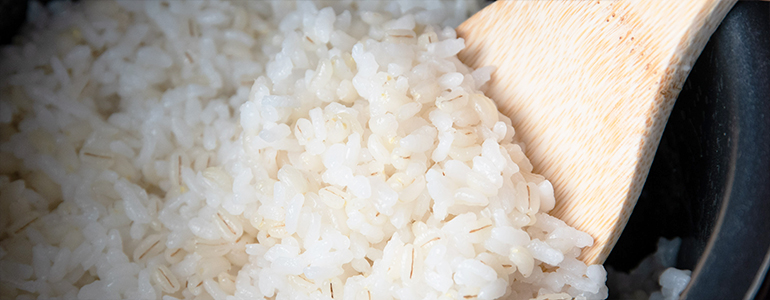 新潟直送計画】もち麦の通販 ギフト お取り寄せ