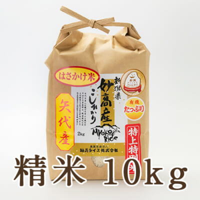 妙高産 はざかけ米 特上特別米コシヒカリ 精米10kg