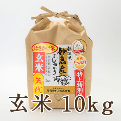妙高産 はざかけ米 特上特別米コシヒカリ 玄米10kg