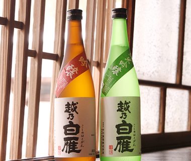 越乃白雁 日本酒ビギナーセット（吟醸・純米吟醸）