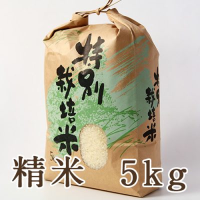 新発田市菅谷産コシヒカリ（特別栽培米）精米5kg