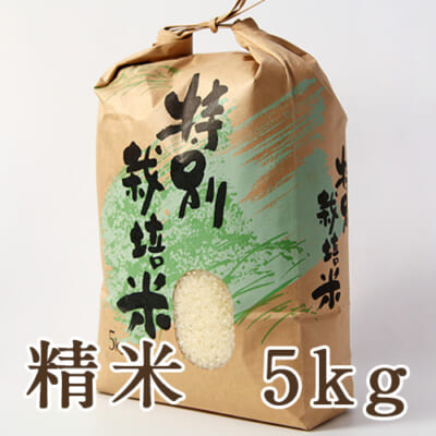 【定期購入】新発田市菅谷産コシヒカリ（特別栽培米）精米5kg