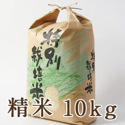 【定期購入】新発田市菅谷産コシヒカリ（特別栽培米）精米10kg