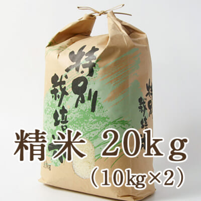 【定期購入】新発田市菅谷産コシヒカリ（特別栽培米）精米20kg